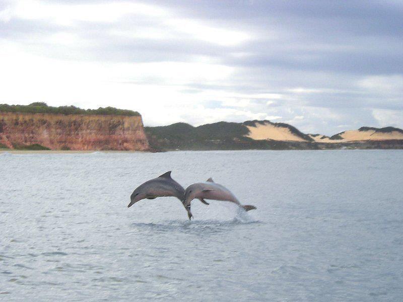 Pousada Da Pipa Praia de Pipa Dış mekan fotoğraf